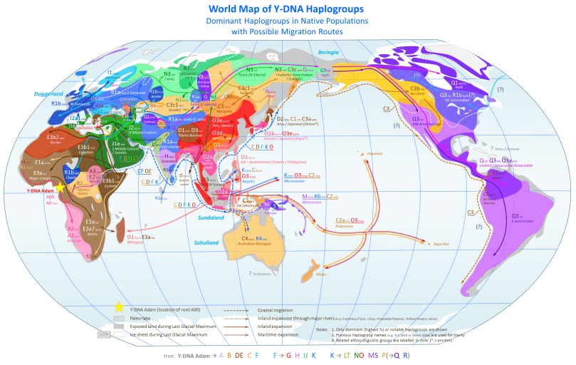World_Map_of_Y-DNA_Haplogroups